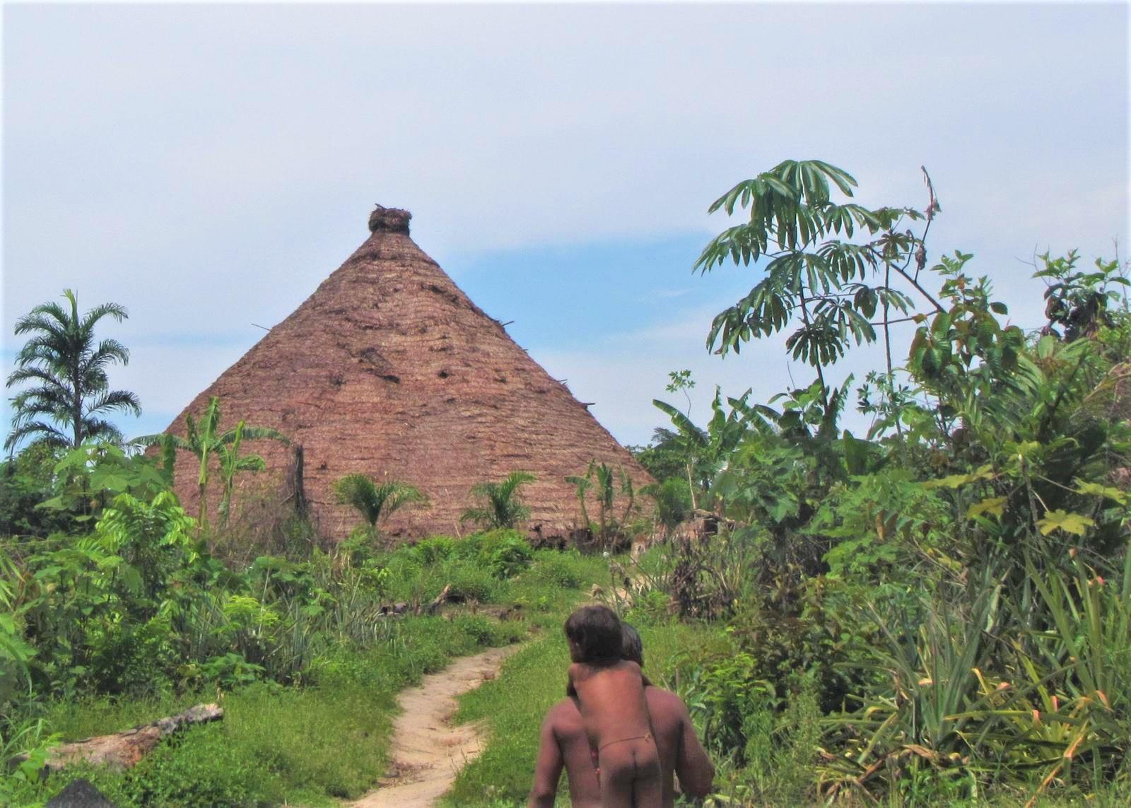 ‘Fui obrigado a entrar em terra indígena com um missionário’, diz servidor da Funai